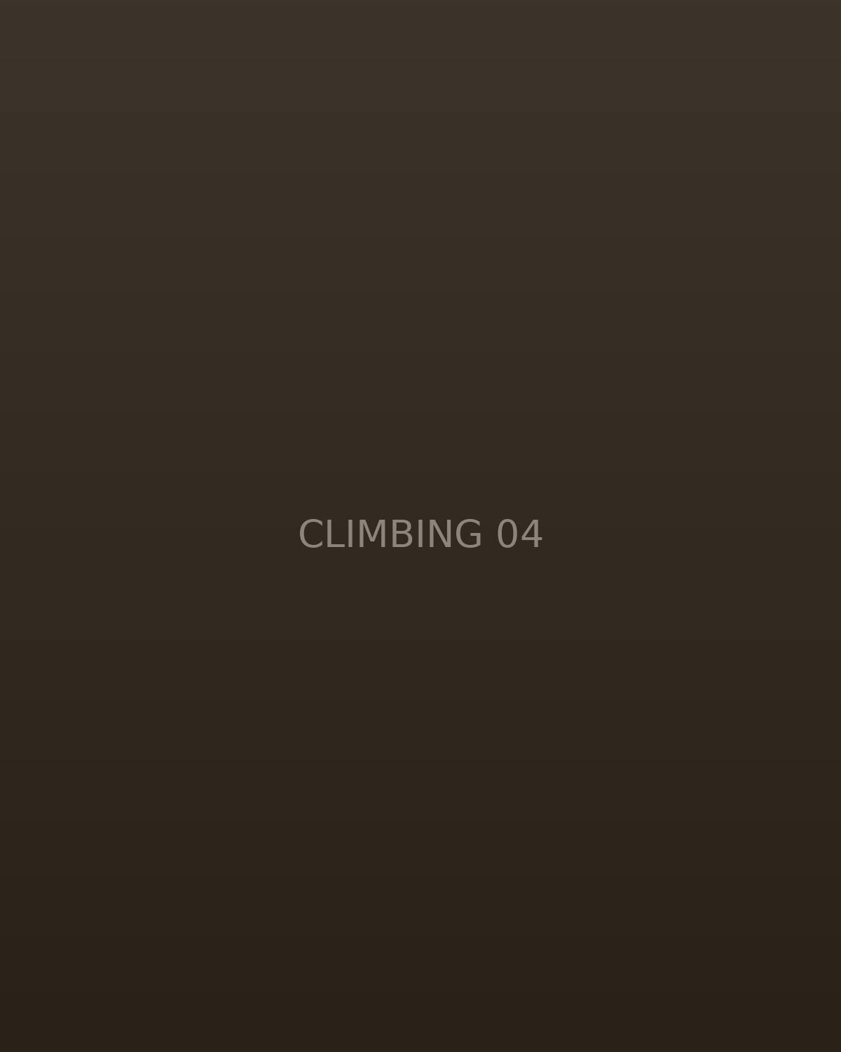 Climber su placca di calcare